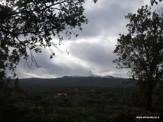 Grotta dei Buoi